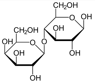 sacharid