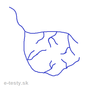 riecna siet tvar